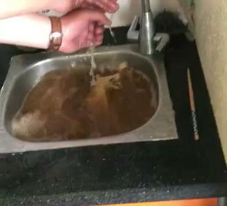 黄瓜雕花教程#雕刻#