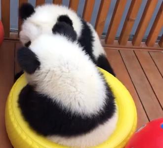 【这才是真正的我在抖音来找我叫向婧】视频直