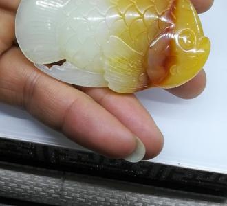 手指舞 心愿便利贴