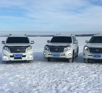 【刚冲了一杯特别苦的药,让猫闻一下~】视频直