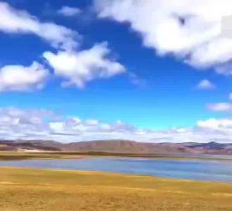 第一次来内蒙的韩国人看到烤羊腿都震惊啦!.