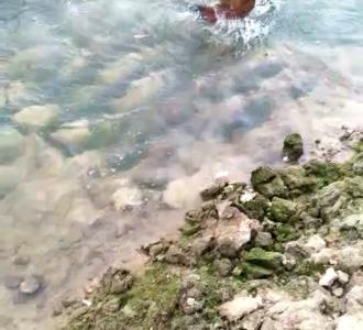 小木木木木分享的小视频