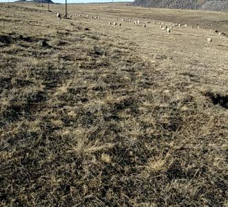 【电子琴北京的金山上DJ】视频直播-YY