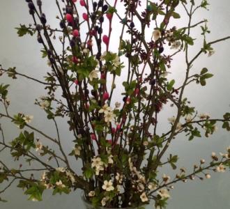 A艾艾手工制作分享的小视频