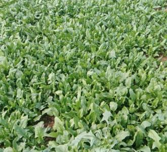 眼镜-周和田玉制作分享的小视频