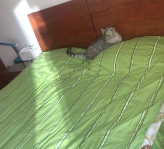 【气割回火会爆炸吗】视频直播-YY