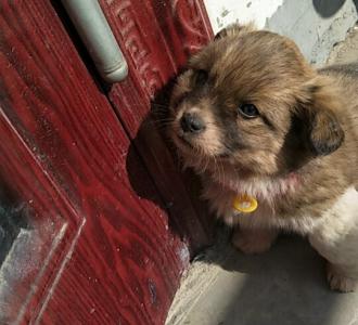 【喜欢的朋友双击下屏幕】视频直播-YY