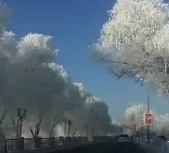 【甜歌小妹挑战最火歌曲】视频直播-YY