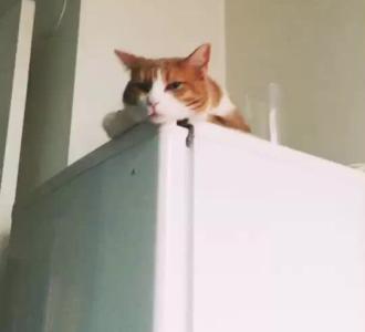 【感谢所有深爱我的朋友感谢你们默默相守】视