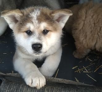 火山录歌直播必备设备