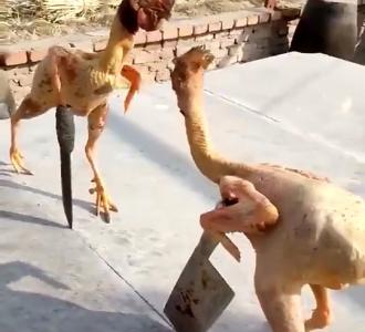 喜欢我就去下载抖音关注我的ID,谢谢啦