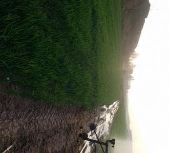 沙子写个义你们想到带义字的成语是什么