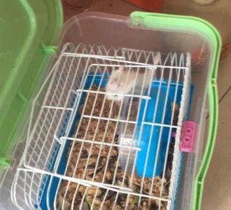 工地搬砖小弟化妆后进城相亲