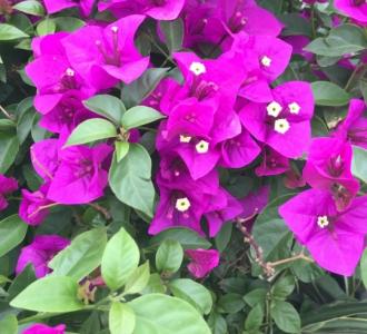 周星驰电影龙的传人,最后一个大弧线球,我.