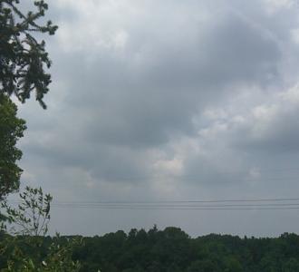 #一起涨知识#生姜这样吃七天暴瘦20斤