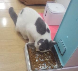 【全网超火爆牌牌琦8步慢摇教程来啦音乐MC