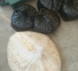 【学奥利给雷哥干点地面活得了】视频直播-YY