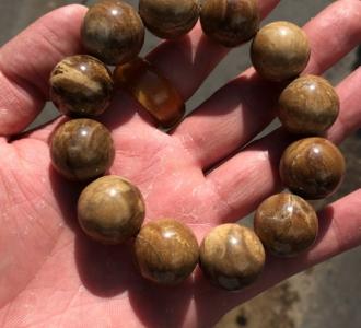 【巨贵宝宝们52天了过几天就回新家了老大落