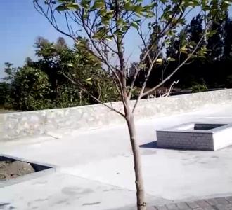 【直播第三天,加油,喜欢雯子的小哥哥小姐姐记