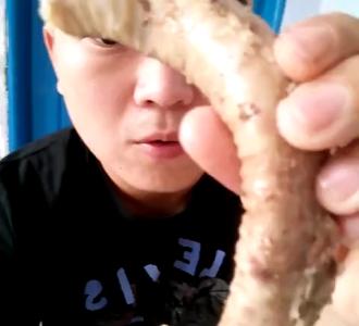 (吃货)洋我快手号是103455056 .5443次播放