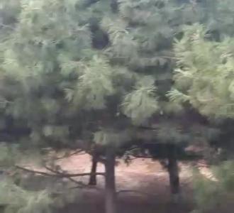 【笔记本用久了卡顿可以换固态硬盘提升速度】