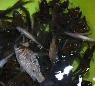 【我好想逃!却逃不掉!】视频直播-YY