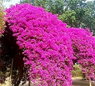 狼宝LangBoom分享的小视频