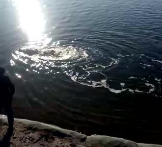 【招收各种游戏主播,场控,解说,股东,欢迎加入】