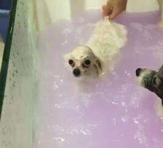 杰克逊太空步教程原地滑步