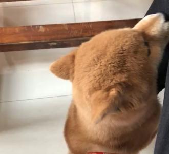 【从小就开始耍流氓啊】视频直播-YY