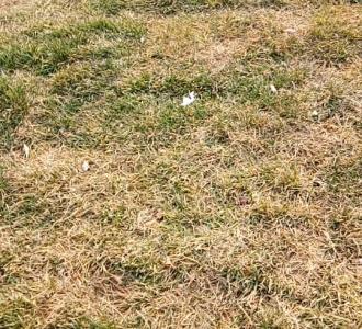 【为啥我直播没人看?】视频直播-YY