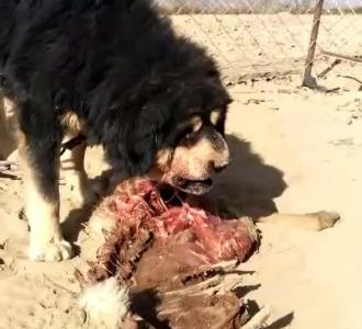 王萌萌and卜凡旭分享的小视频