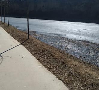 #搞笑#光头强唱 if you