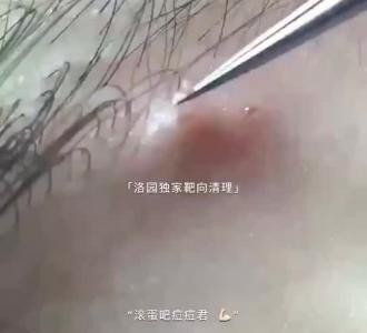 【每天都很忙忙忙忙忙】视频直播-YY