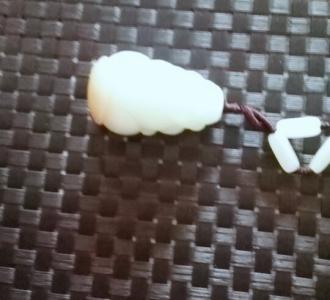 【大水雷分享的小视频】视频直播-YY