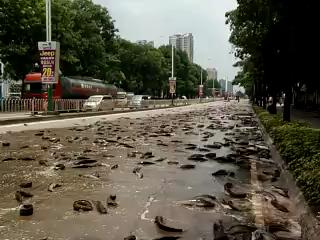 瑞丽畹町对面的缅甸棒赛、木姐发生战事2