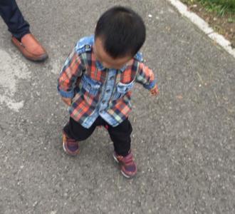 #切水果技巧#火龙果这样吃才爽