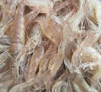 【简单容易的剪花】视频直播-YY