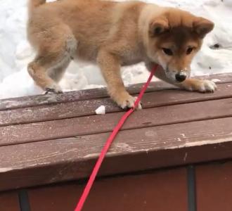 【从小就开始耍流氓啊】视频直播-YY