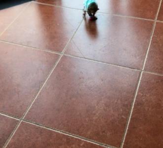 【#今日热门##感觉萌萌哒##广场舞#】视频直