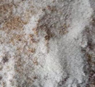 【全网超火爆牌牌琦8步慢摇教程来啦音乐MC