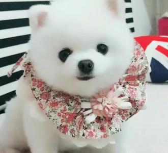 【杭州偶遇呀! 缺个对象,西湖如果给朋友去多没