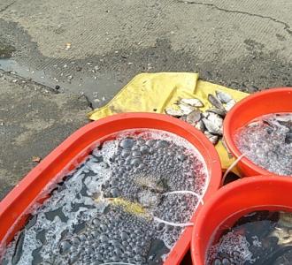 【牌家最火抖腿摇】视频直播-YY