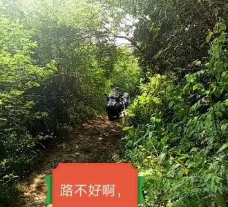 【#大学生来了#小鬼@】视频直播-YY