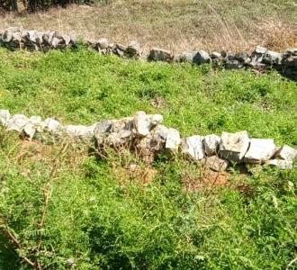 【最近视频在vb被去水印转发很无语谢谢粉丝挺