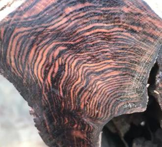 在一起了(幸子,子圣)