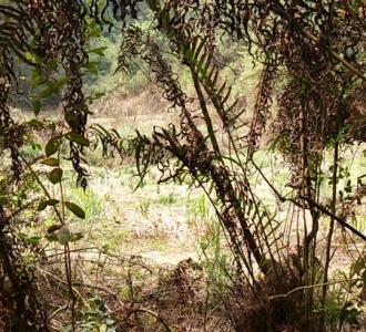 是画师对着真人照片用ps+sai+手绘板在电脑上