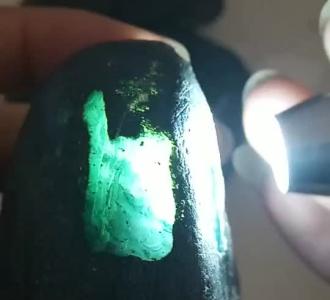 黄梅戏树上鸟儿成双对,一人男女对唱