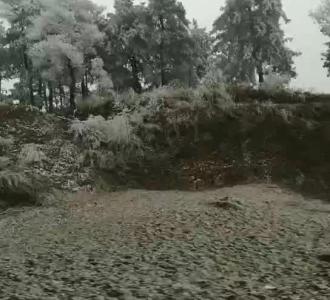 我刚做的橙色 绿色 白色 等不同的饺子.