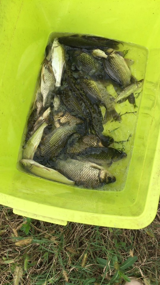 波波户外美食直播间_波波户外视频直播 -上YY